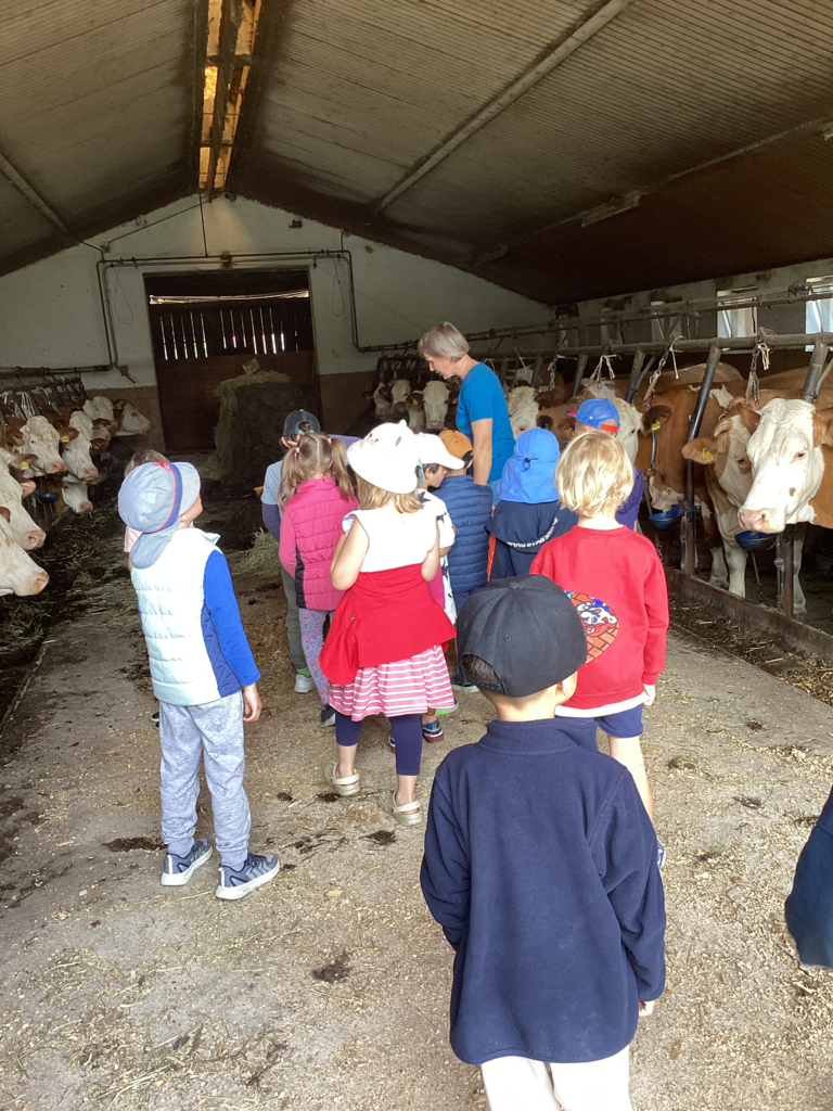Bauernhofbesuch Juni 2026