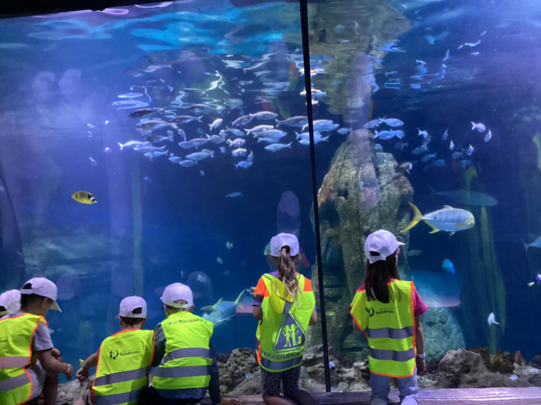 Sea Life 2026