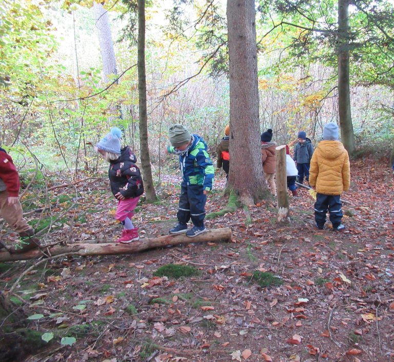Wald und Wiese 2