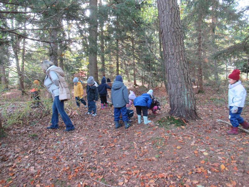 Wald und Wiese _1